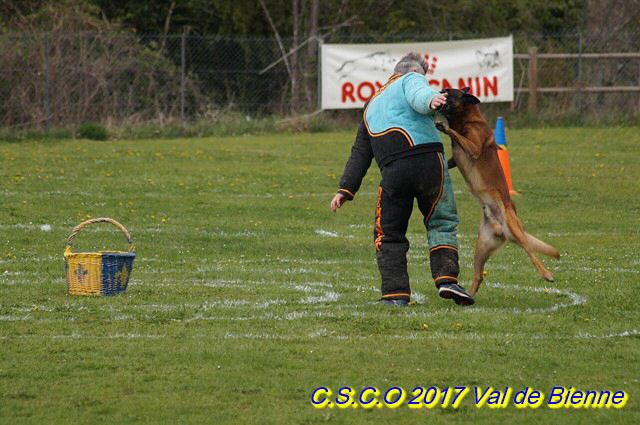 2017 Ring-Chassal-Deckers (120) (Copier).jpg